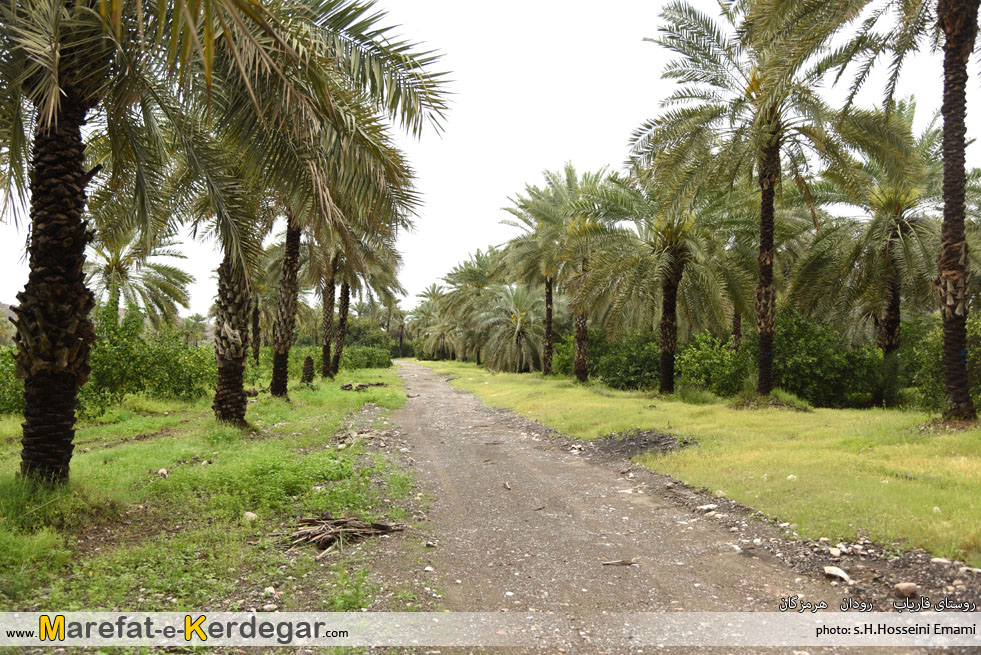 جاذبه های طبیعی استان هرمزگان جاذبه های طبیعی استان هرمزگان