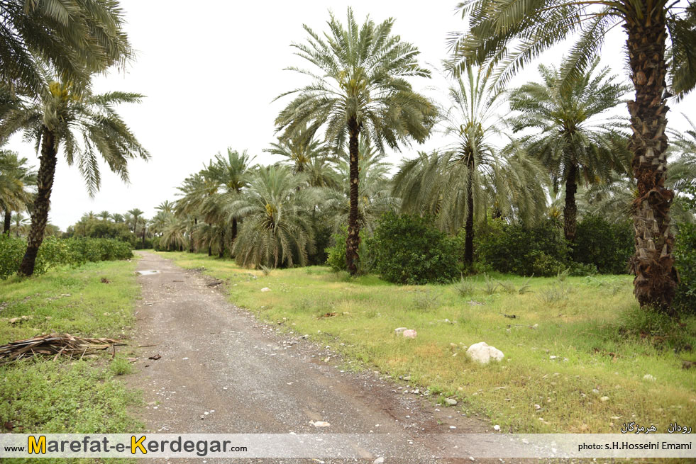 جاهای دیدنی رودان جاهای دیدنی رودان