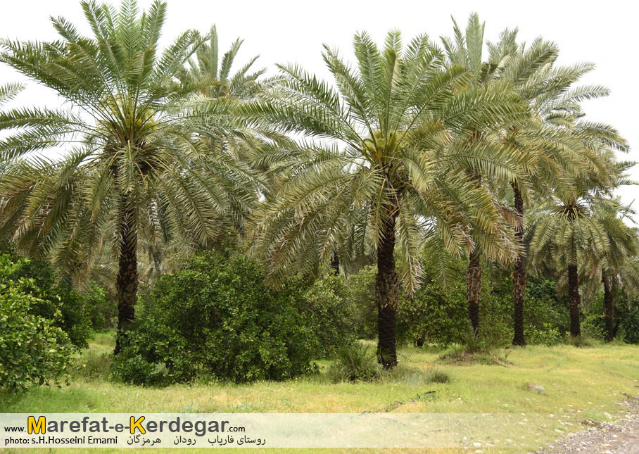 جاهای دیدنی رودان جاهای دیدنی رودان