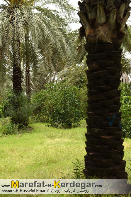 جاهای دیدنی رودان جاهای دیدنی رودان