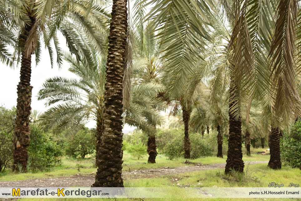 جاهای دیدنی هرمزگان جاهای دیدنی هرمزگان