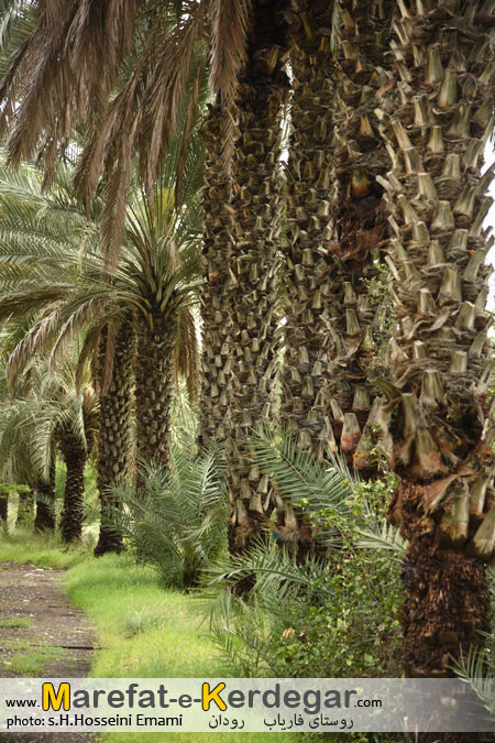 جاهای دیدنی هرمزگان جاهای دیدنی هرمزگان