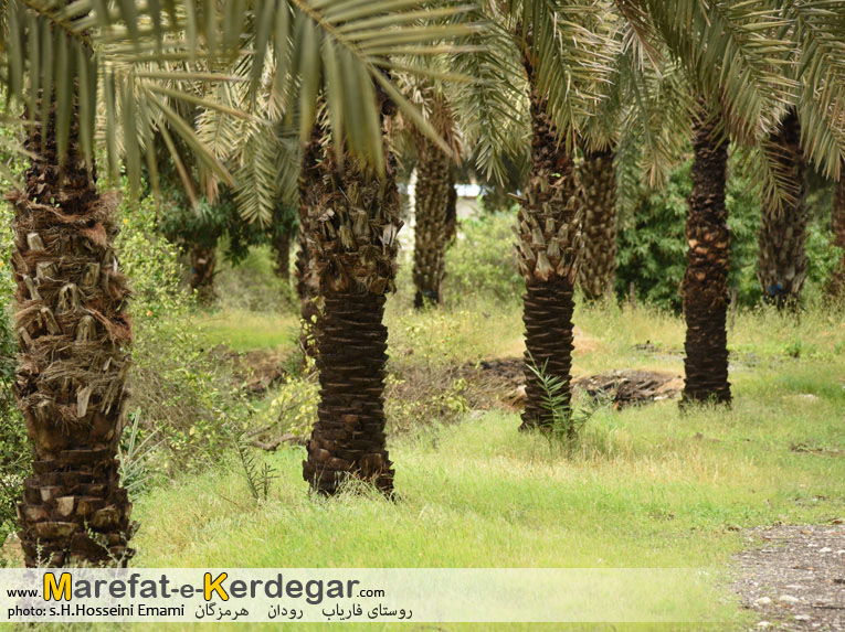 مناطق گردشگری رودان مناطق گردشگری رودان