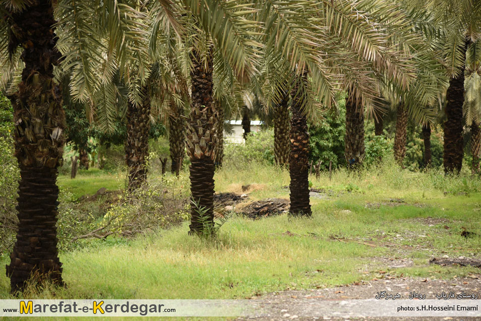 مناطق توریستی رودان مناطق توریستی رودان