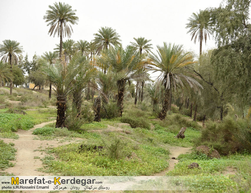 گردشگری هرمزگان