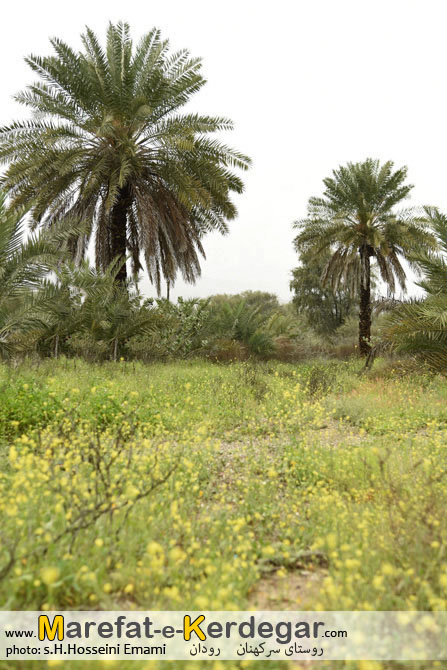 گردشگری ایران