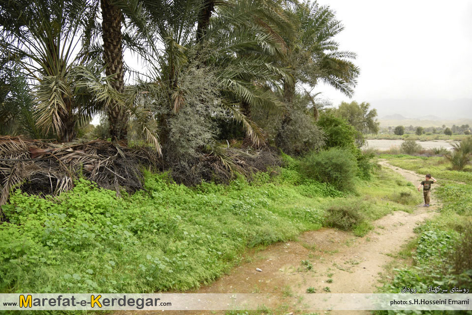 مکان های دیدنی رودان مکان های دیدنی رودان