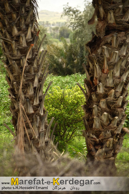 مکان های دیدنی رودان مکان های دیدنی رودان