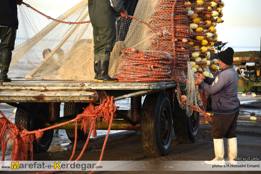 صیادی ماهی در استان مازندران صیادی ماهی در استان مازندران