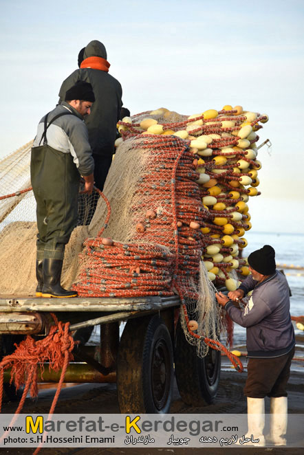 صیادی ماهی در استان مازندران صیادی ماهی در استان مازندران