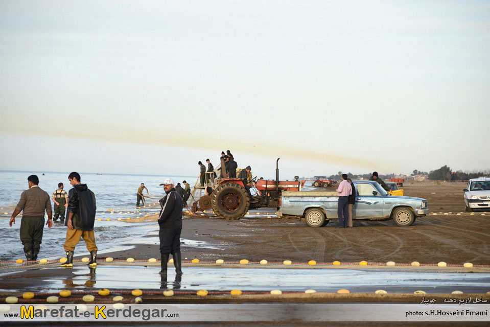 صیادی ماهی در شمال صیادی ماهی در شمال