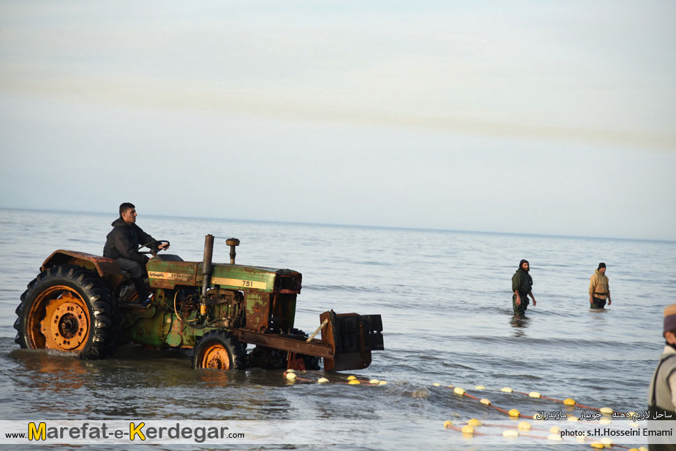 صیادی ماهی در شمال صیادی ماهی در شمال