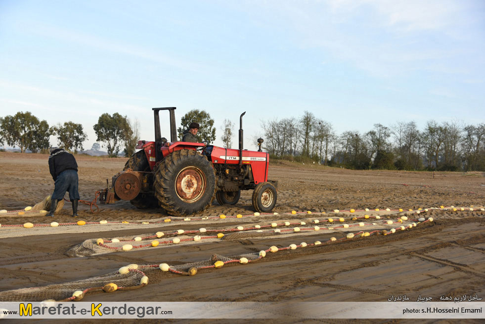صیادی ماهی در جویبار صیادی ماهی در جویبار