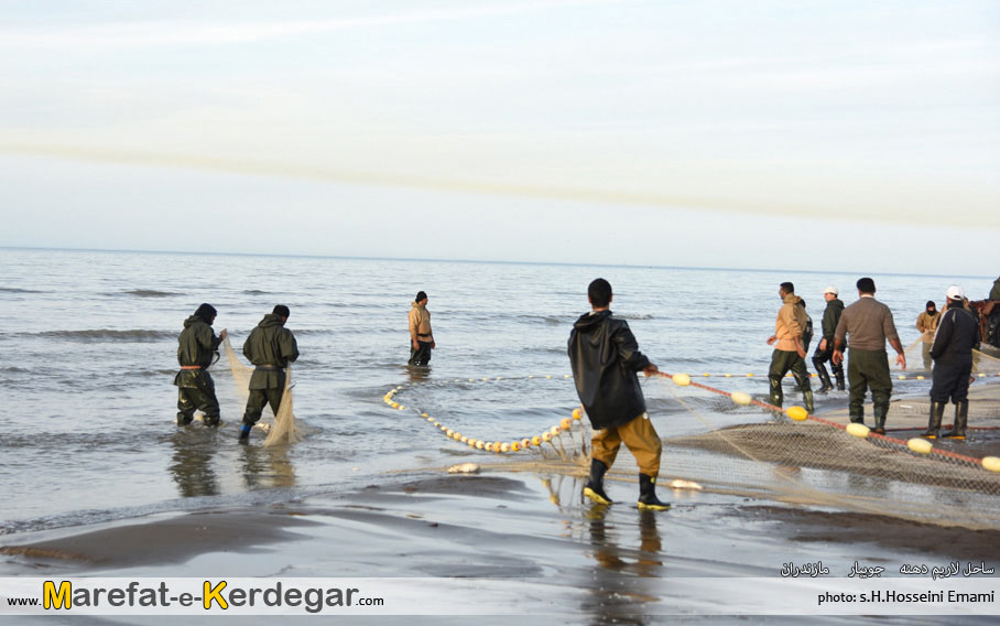صیادی ماهی در جویبار صیادی ماهی در جویبار