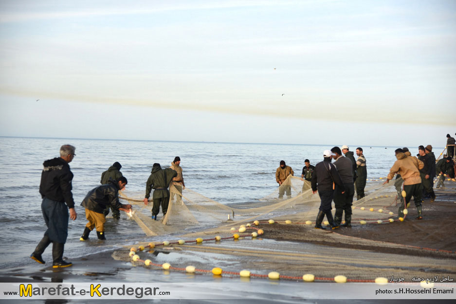 صیادی ماهی در جویبار صیادی ماهی در جویبار
