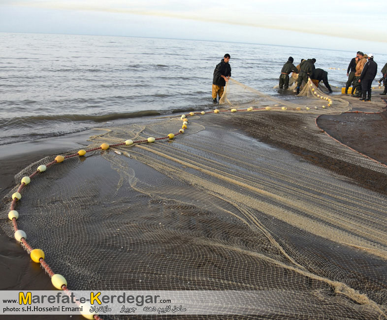 ماهی گیری در جویبار ماهی گیری در جویبار