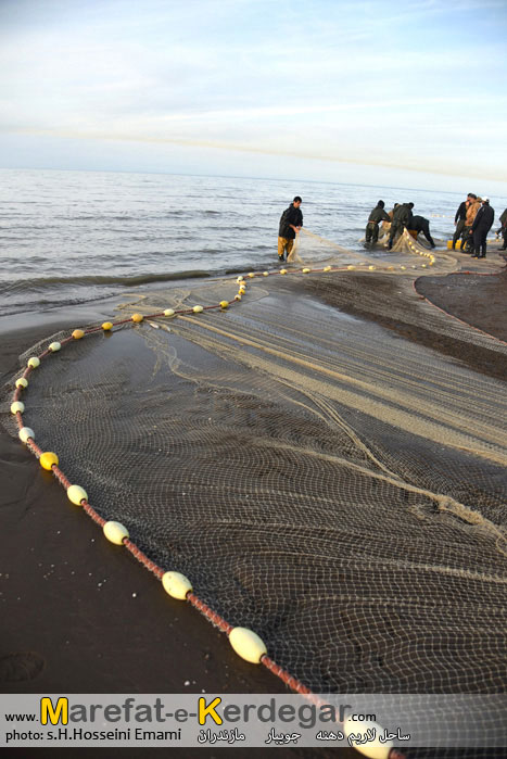 ماهی گیری در جویبار ماهی گیری در جویبار