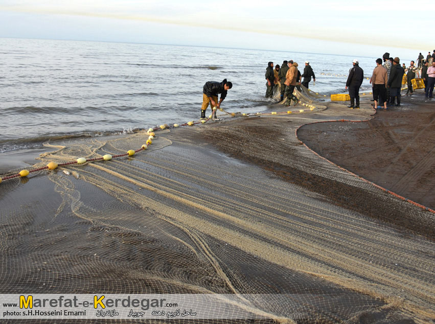 ماهی گیری در جویبار ماهی گیری در جویبار