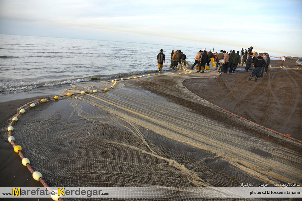ماهی گیری در مازندران ماهی گیری در مازندران