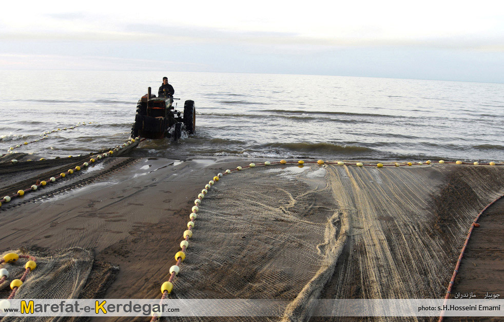 ماهی گیری در مازندران ماهی گیری در مازندران