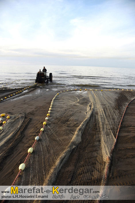 ماهی گیری در استان مازندران ماهی گیری در استان مازندران