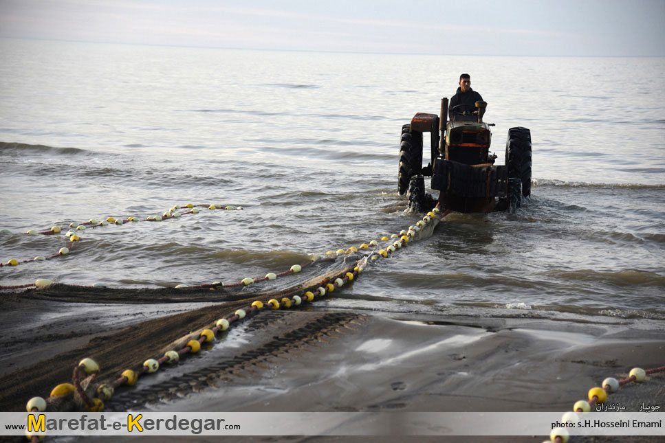ماهی گیری در استان مازندران ماهی گیری در استان مازندران