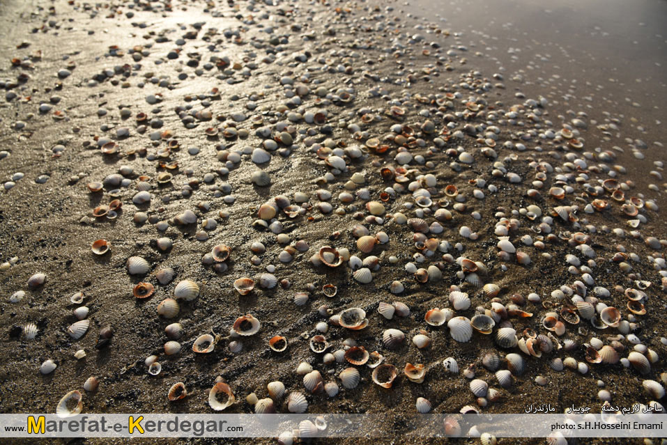 روستای لاریم دهنه روستای لاریم دهنه