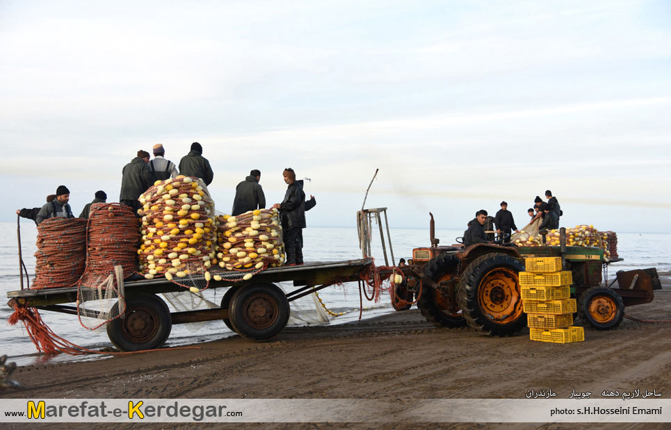 گردشگری جویبار گردشگری جویبار