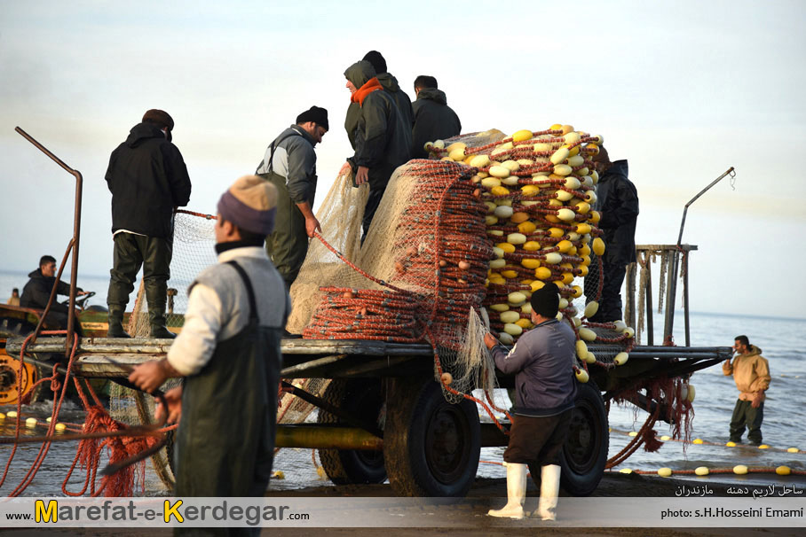 صیادی ماهی در مازندران صیادی ماهی در مازندران