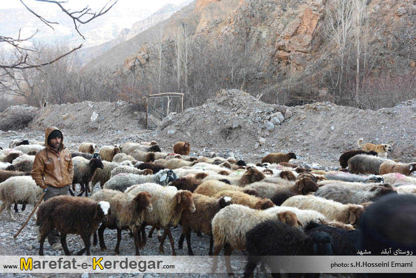 روستای آبقد