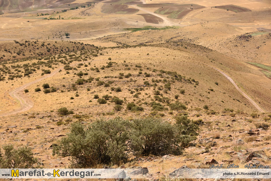 طبیعت دهگلان طبیعت دهگلان