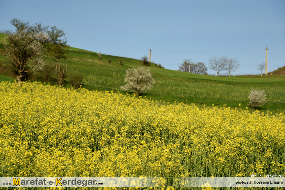 جاهای دیدنی هزارجریب