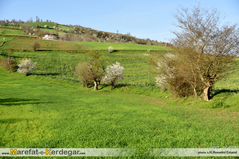 جاهای دیدنی نکا