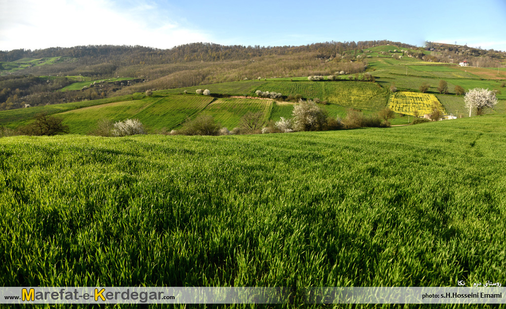 گردشگری هزارجریب