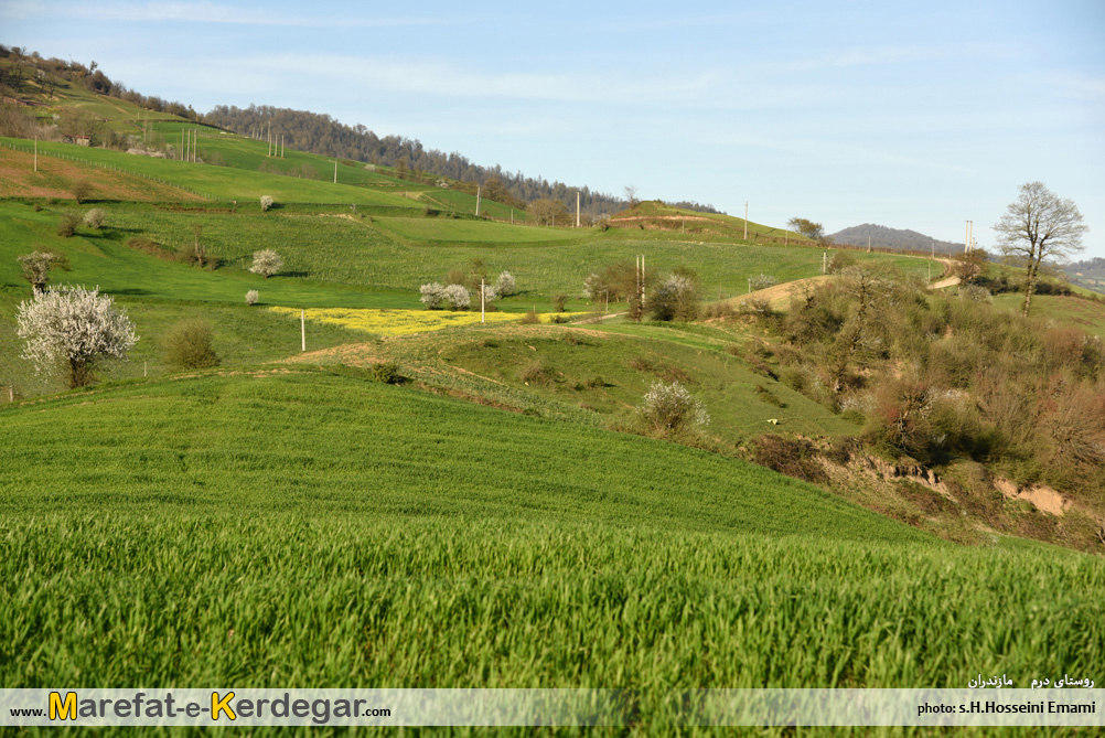 گردشگری نکا