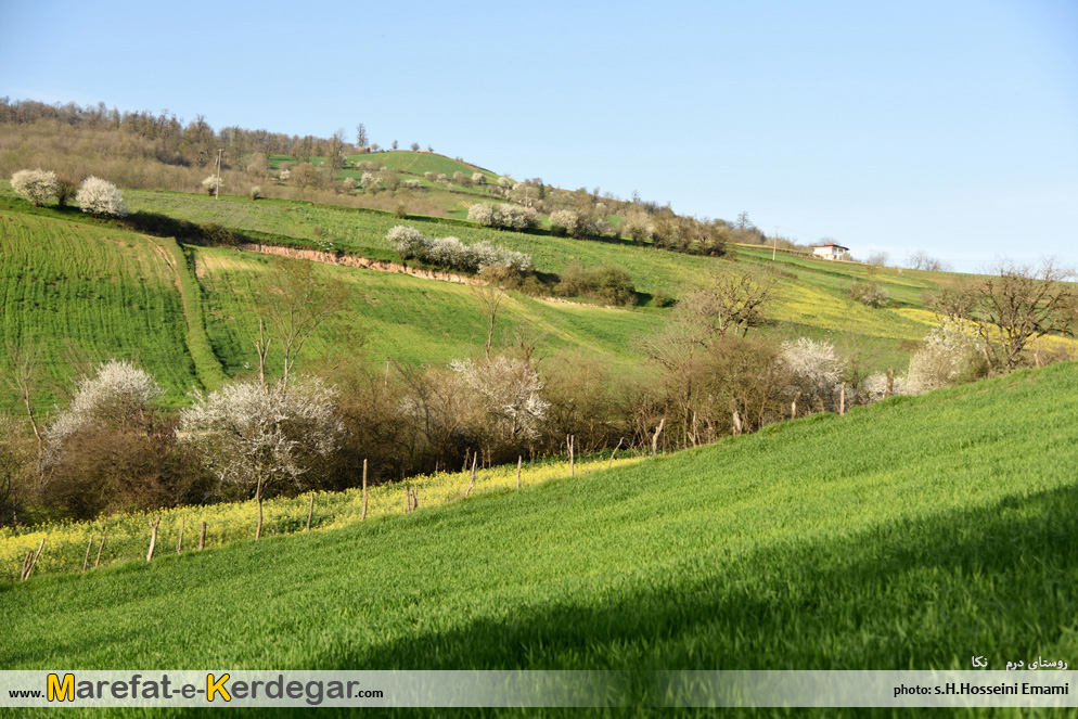 گردشگری ایران