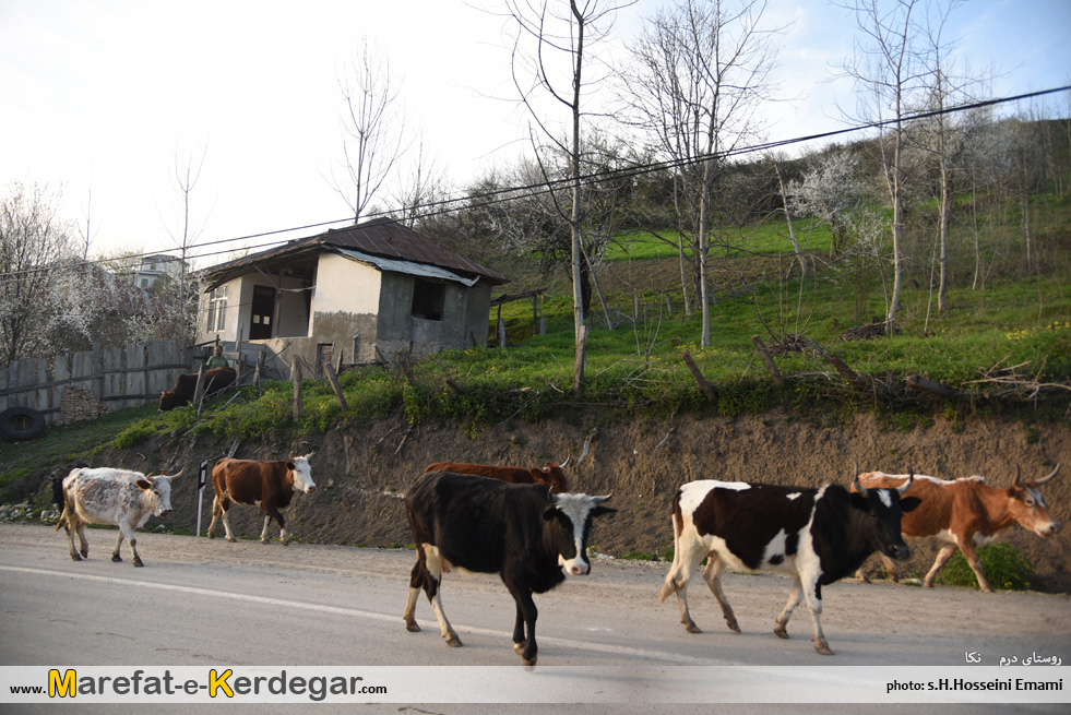 روستاهای هزارجریب