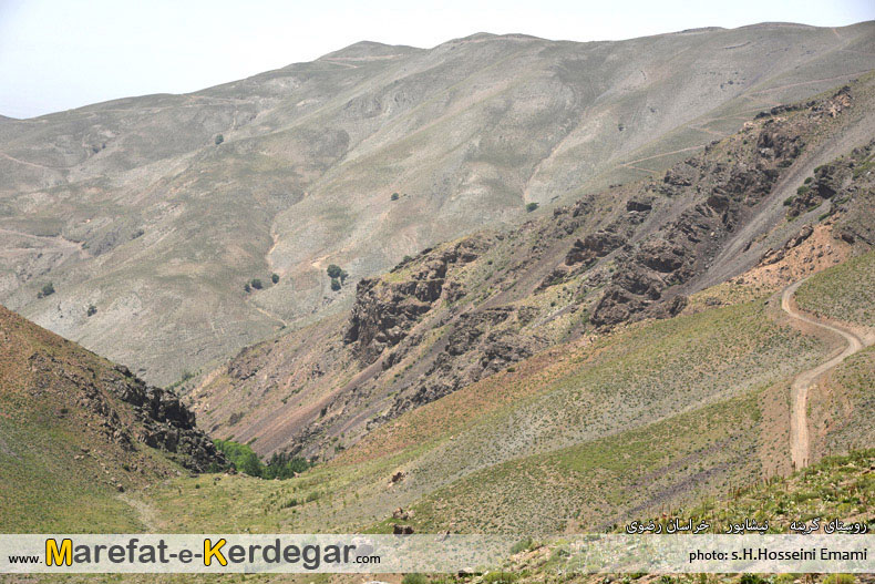 طبیعت روستای گرینه