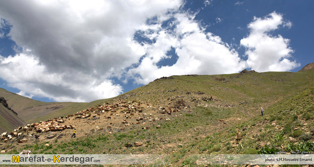 طبیعت روستای گرینه