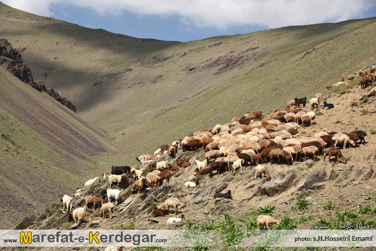 طبیعت روستای گرینه