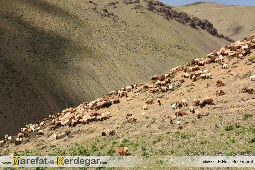 کوهنوردی در نیشابور