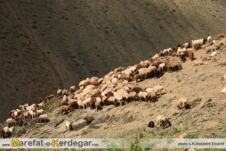 کوهنوردی در نیشابور کوهنوردی در نیشابور