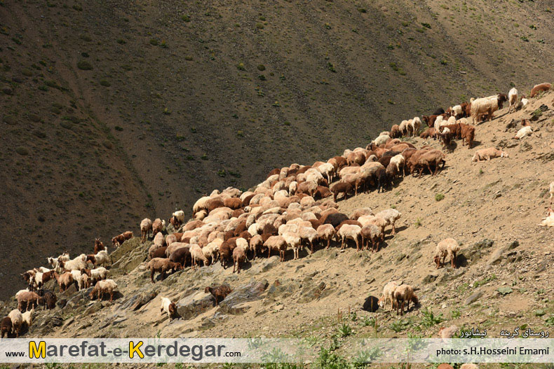 کوهنوردی در نیشابور