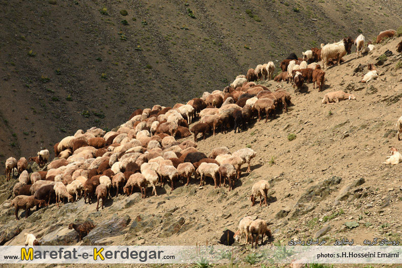 کوهنوردی در نیشابور کوهنوردی در نیشابور