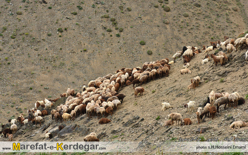 دره های استان خراسان رضوی دره های استان خراسان رضوی