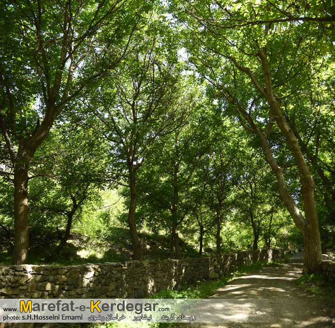 روستای گرینه روستای گرینه