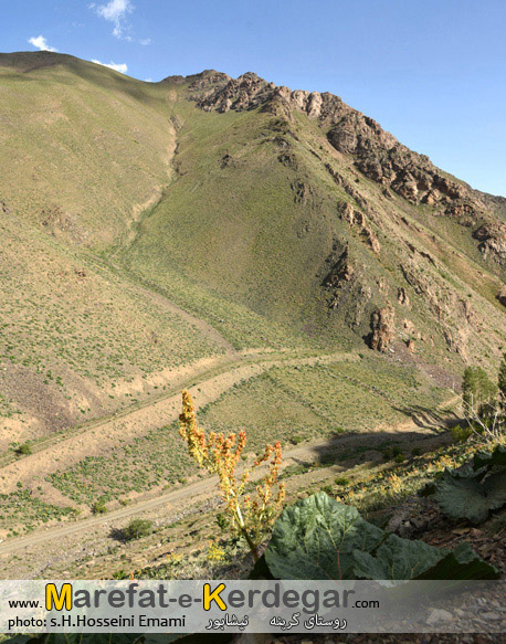 ارتفاعات روستای گرینه