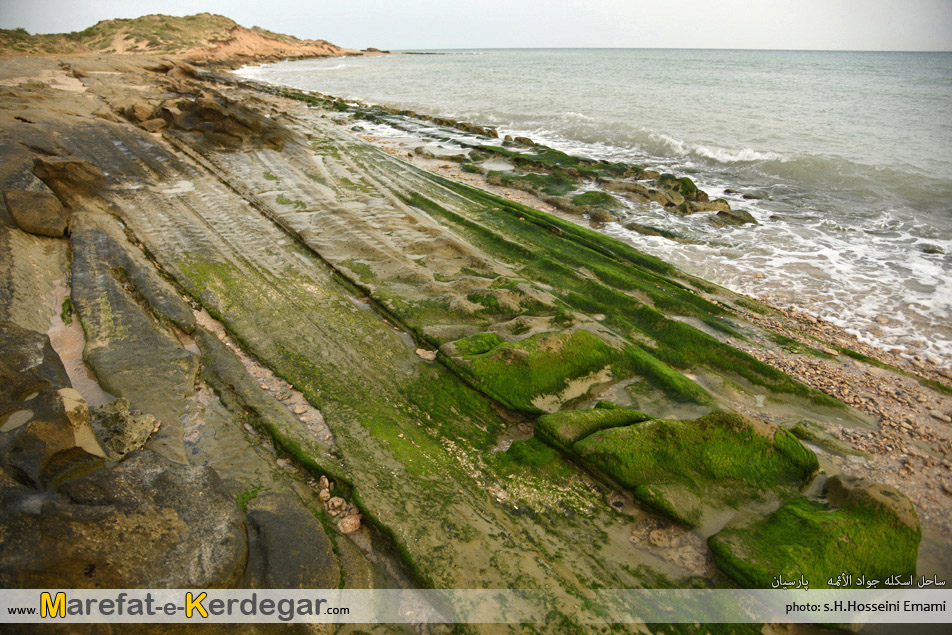 طبیعت جنوب ایران طبیعت جنوب ایران