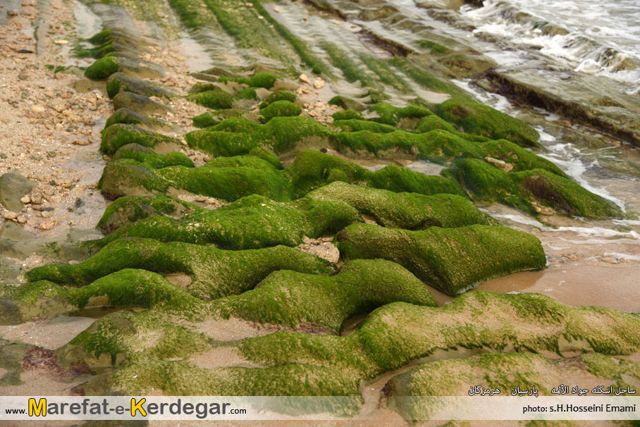 جاذبه های فرسایشی پارسیان جاذبه های فرسایشی پارسیان