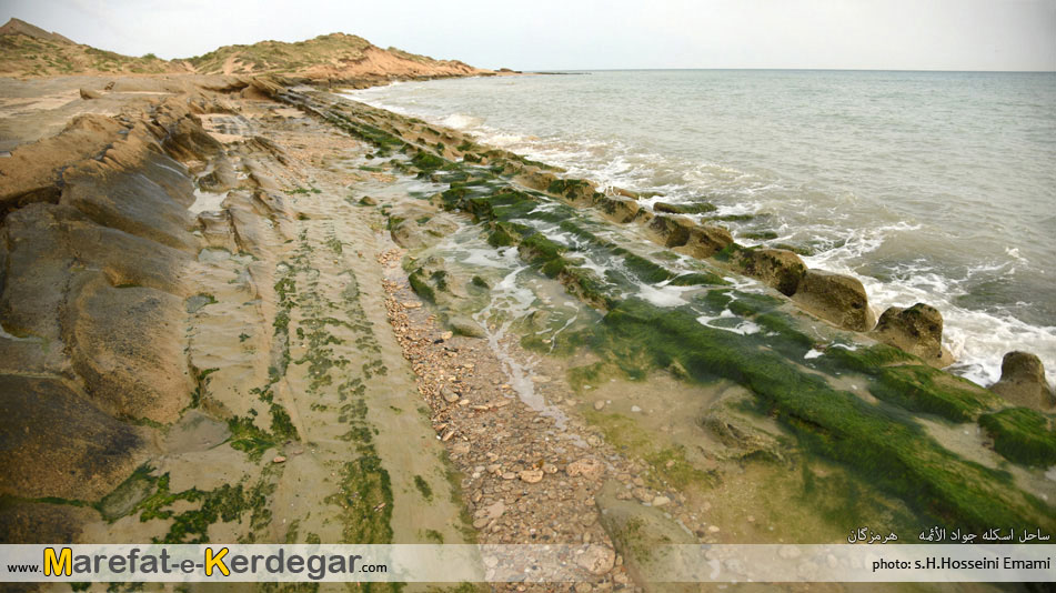 طبیعت جنوب طبیعت جنوب